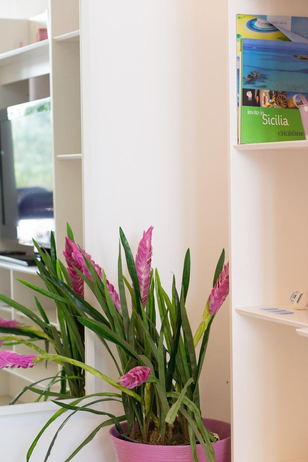 Mondello Suites Flh - Gorgonia Apartment Mondello