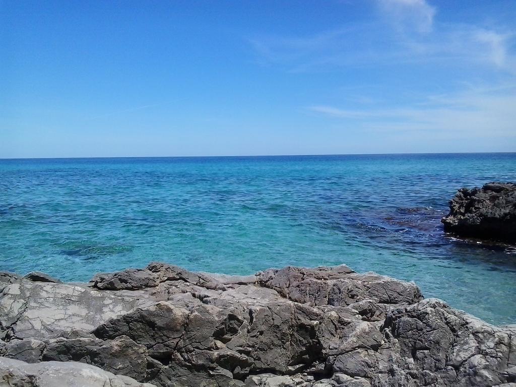 Mondello Suites Flh - Gorgonia